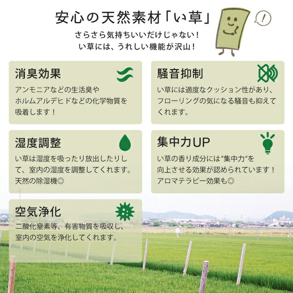 【ポイント10倍】【9枚入】置き畳綾川レッド約82times;82times;2.5cm【代引不可】