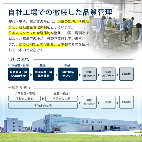 【ポイント10倍】【9枚入】置き畳綾川レッド約82times;82times;2.5cm【代引不可】