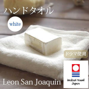 【A】【あす楽対応】今治産「レオンサンホーキンタオル」ハンドタオル(今治タオル今治産)今治タオルギフト敬老の日プレゼント