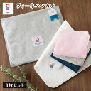 (今治袋ラッピング) タオルハンカチ 3枚セット ヴィーネ 今治タオル プチギフト タオル 送料無料 (ポスト投函) 日本製 シンプル 大人 子供 保育園 幼稚...