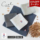 今治タオル 【クーポンで15％OFF】今治タオル ハンカチ 2枚セット シエル 送料無料 (ネコポス) ハンドタオル ミニハンカチ タオルハンカチ レディース メンズ 日本製 速乾 大人 子供 今治タオルブランド ハンカチタオル 新生活 SALE セール バーゲン