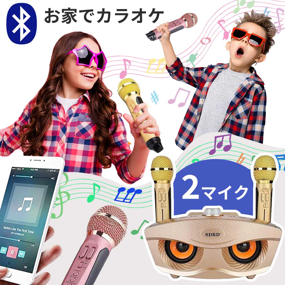 【楽天1位】SDRD カラオケ カラオケ 