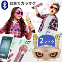 【マラソン限定！P8倍】【楽天1位】SDRD カラオケ カラオケ 家庭用 カラオケ 子ども マイク2本 カラオケマイク カラオケ 子ども 家庭用 ワイヤレスマイクシステム 2ハンドヘルドマイク 子供 6歳～