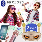 【楽天1位】SDRD カラオケ カラオケ 家庭用 カラオケ 子ども マイク2本 カラオケマイク カラオケ 子ども 家庭用 ワイヤレスマイクシステム 2ハンドヘルドマイク 子供　6歳～