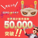 【楽天1位】SDRD カラオケ カラオケ 家庭用 カラオケ 子ども マイク2本 カラオケマイク カラオケ 子ども 家庭用 ワイヤレスマイクシステム 2ハンドヘルドマイク 子供　6歳～ 2