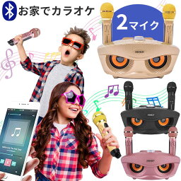 【訳あり（外箱に傷あり）】【楽天1位】SDRD カラオケ カラオケ 家庭用 カラオケ 子ども マイク2本 カラオケマイク カラオケ 子ども 家庭用 ワイヤレスマイクシステム 2ハンドヘルドマイク 子供