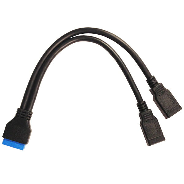  USB 3.0 19pin USB3.0 Aコネクタ2ポート 変換 メスメス Cyberplugs