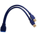 【 メール便 送料無料】USB3.0 19pin USB3.0 Aコネクタ2ポート 変換 オスオス Cyberplugs