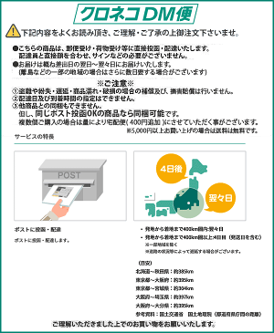 【DM便 送料無料】USB 2.0 PCIブラケット用 コネクタ 2メスポート変換 Cyberplugs