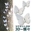 ڥ᡼ ̵ 3D 12 ĳ  륹ƥå  ĳ 3ʥ ץ butterfly 뺧 ޥͥå ԥbutterfly ʥ ѡƥ ǥ졼  Cyberplugs