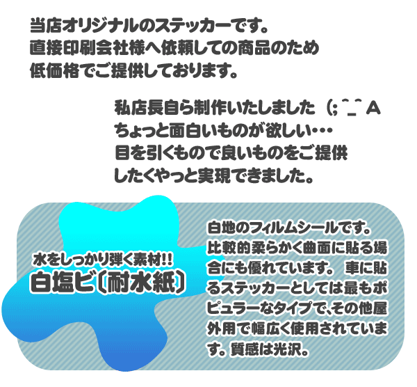 ドライブレコーダー ステッカー 日本製 drive recorder 防水前方後方 録画中 耐水 安全 シール セーフティグッズ車用 DM便 送料無料 Cyberplugs