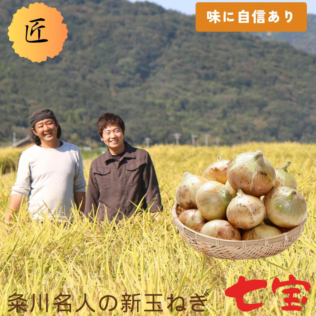 ★あす楽対応！　淡路島　新玉ねぎ　絶品！ 七宝【 5kg 、10kg】【味で勝負！】すぐ届く　送料無料　【..