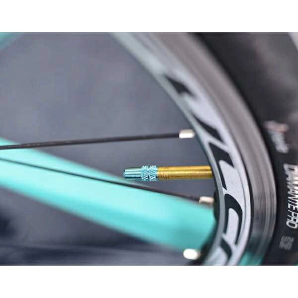 サイクルショップ チャリンクスのビアンキ 純正 Bianchi バルブキャップ 2個入り チェレステ C-SPORTS NIRONE MAGMA 自転車 ロードバイク クロスバイク サイクリング｜アングル3