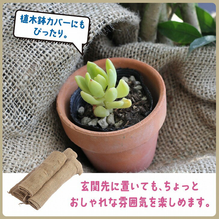 ������̵���� ���� ���� �ڤΤ��� �ɥ󥴥��� ��� �����ǥ˥� ������ ��¸ 5�祻�å�