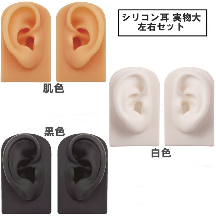 【送料無料】 シリコン耳 模型 実物大 左右セット 両耳模型 耳つぼ リアル耳模型 ピアス飾り