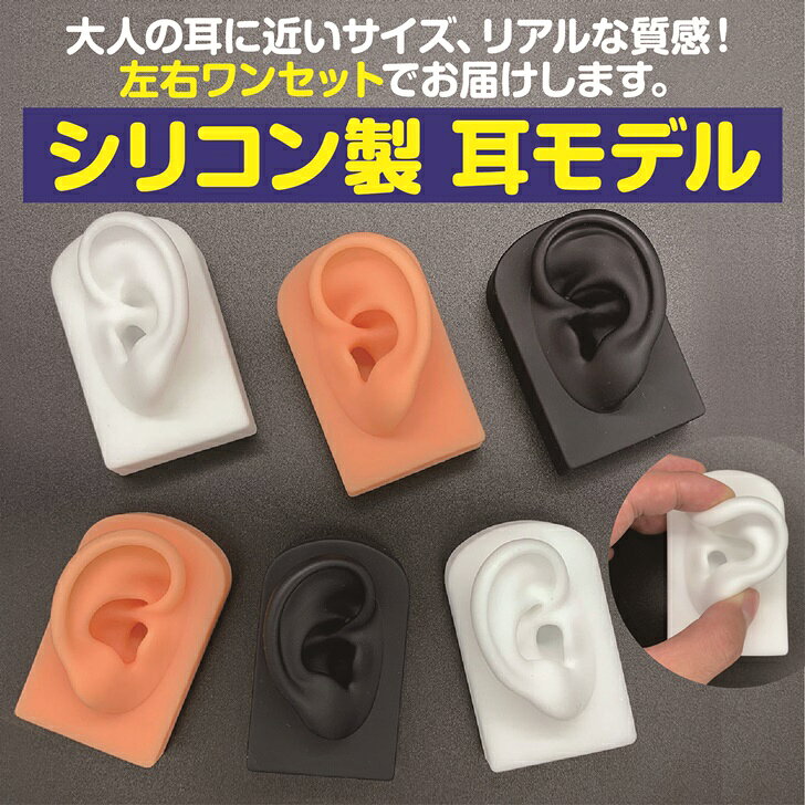 サイクルプロダクトの【送料無料】 シリコン耳 模型 実物大 左右セット 両耳模型 耳つぼ リアル耳模型 ピアス飾り｜アングル2
