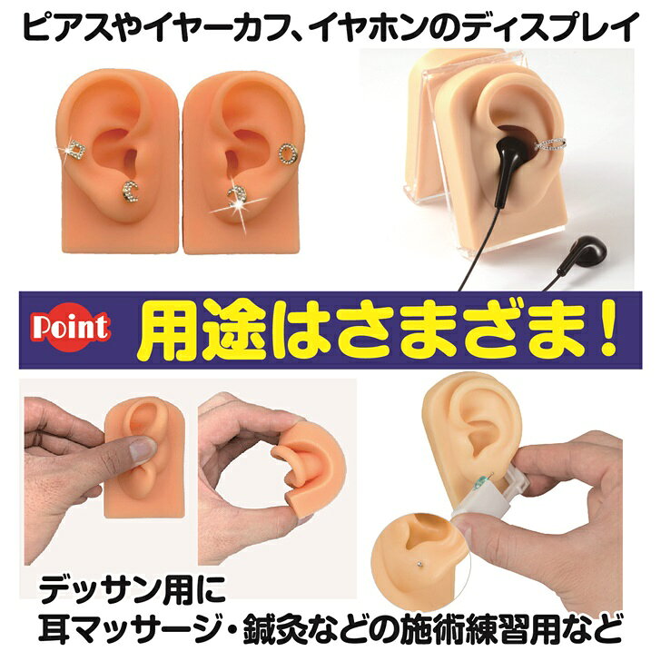 サイクルプロダクトの【送料無料】 シリコン耳 模型 実物大 左右セット 両耳模型 耳つぼ リアル耳模型 ピアス飾り｜アングル3