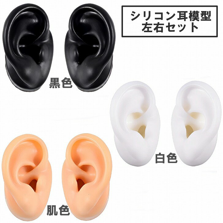 【送料無料】 シリコン耳 模型 左右セット 耳モデル 両耳模型 耳つぼ リアル耳模型 人工