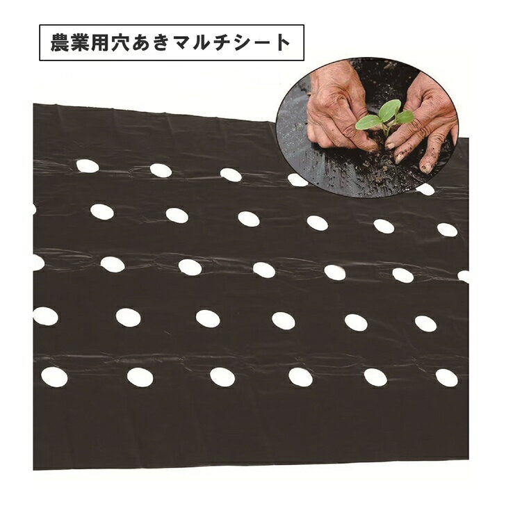 【送料無料】 農業用 穴あきマルチ 銀黒 10m 5列 家庭菜園 除草 保温 野菜