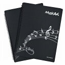 【送料無料】見開き 書き込み 楽譜ファイル 譜面ファイル A4サイズ (ブラック2個)