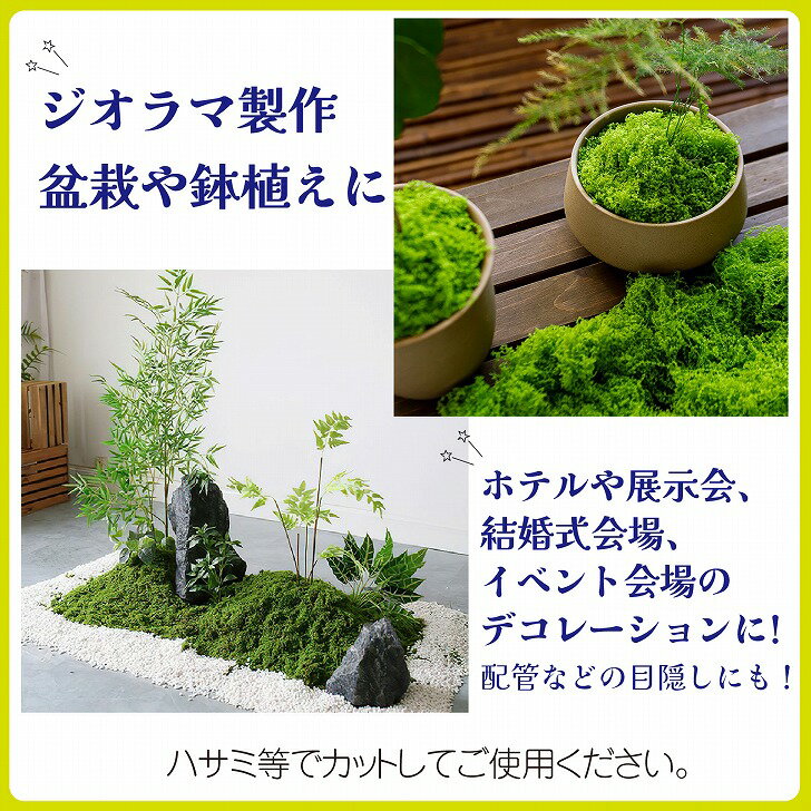 ������̵���� �͹��� �ե������⥹ �ե��������꡼�� �ߺ� ȭ���� ������� �Ϸ� 100g