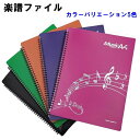 【送料無料】 見開き 書き込み 楽譜ファイル 譜面ファイル A4サイズ