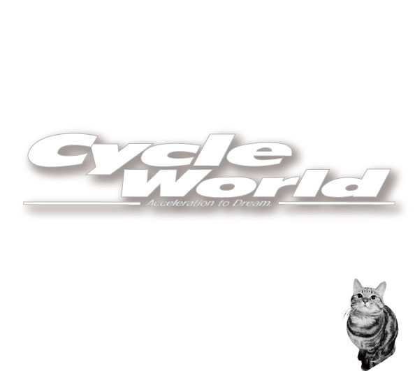 ☆【オーダー専用ページ】お取り寄せ専用ページ　サイクルワールド楽天市場店　こちらからオーダー頂きましたら、金額お見積り致します【バイク用品】
