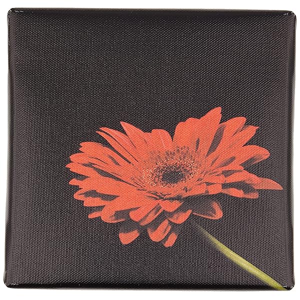 【アートデリ】花のアートパネル インテリア雑貨 アートパネル キャンバス ブラック poht-2205-17-S 15cm×15cm Sサイズ