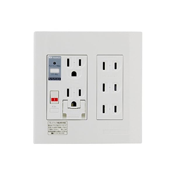 河村電器 プレトラックコンセント 多回路2連 簡易耐火枠付 遮断+アラーム機能有 PTC2C BRAL15FEN