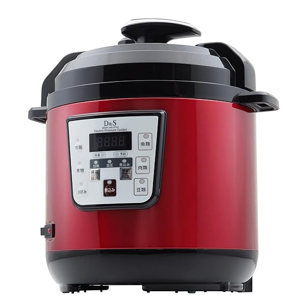 D&S ディーアンドエス 食材を入れてタイマーを押すだけ簡単調理電気圧力鍋 2.5L レッド ほったらかし電気圧力鍋 手軽に圧力調理 タイマー機能付き 再加熱もできるガラス蓋付き STL-EC30R