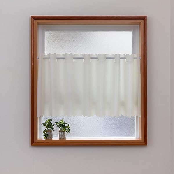 無地 シンプル カフェ ハッスイプレーン