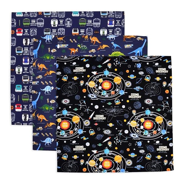 ランチクロス 男の子 3枚セット 給食 ナフキン お弁当 スタンダード 45×45cm 正方形 恐竜・惑星・電車セット(3枚セット) N3932513