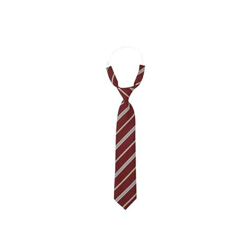 ネクタイ ネクタイ〈Yタイ/レジメ柄〉4209038 レディース 4209038 ボルドー(051) F ネクタイ ネクタイ〈Yタイ/レジメ柄〉4209038 レディース 4209038 ボルドー(051) F