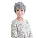 オールミセスミニマムショート耐熱グレイヘア
