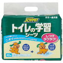 トイレの学習シーツレギュラー 48枚
