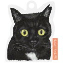 日本製 ギフトタッグ 6×7cm ブラック 50枚 猫 キャット チャリティー アニマルタッグ CHRA-T1