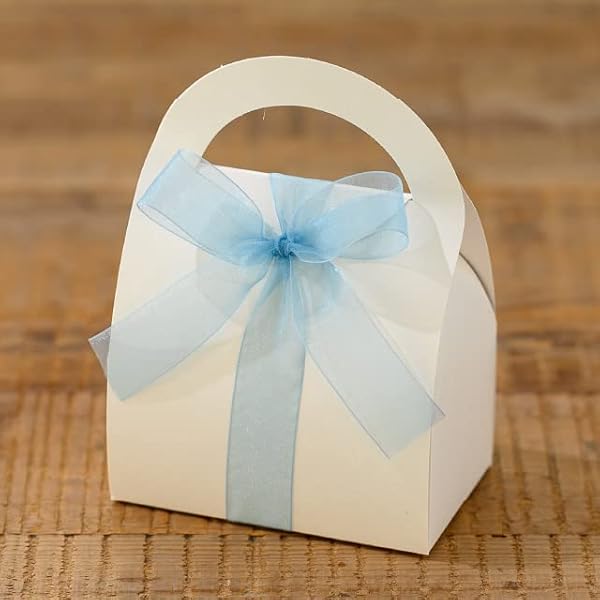 リボン 2.5cm幅×30m巻 スカイブルー 1巻 オーガンジーリボン OR2518 [2]