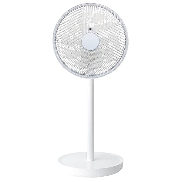 ZEPEAL ԡ żDCե⥳ӥ DJC-E550M ۥ磻