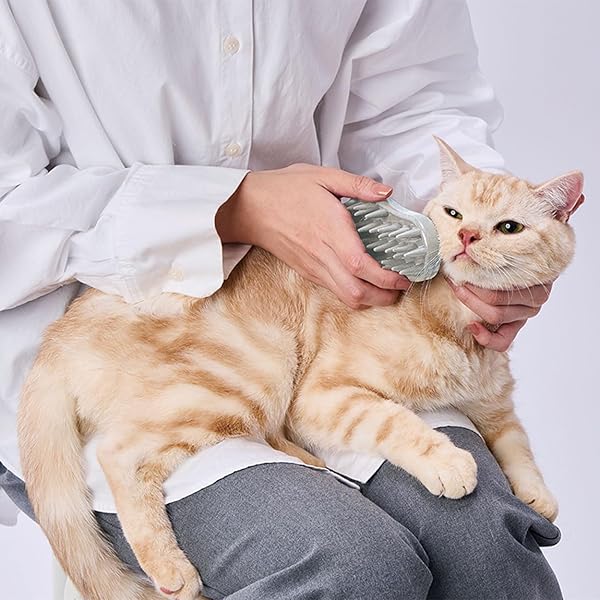 猫用 FIXCARE 猫にぴったり 裏表ピンで握りやすい ダブルラバーブラシ