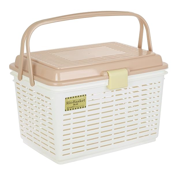 ピクニック バスケット リオバスケット RB-66 アースベージュ 117281 約幅40.3×奥行30.3×高さ26.1cm