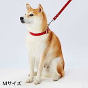 Porta ポルタ ソフトレザーカラー Mサイズ 21mmレッド