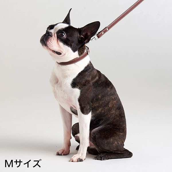 Porta ポルタ ソフトレザーカラー Mサイズ 18mm ブラウン