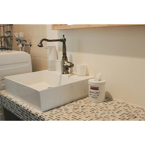 マーキュリー ブリキサニタリー ペーパーホルダー ホワイト Φ11.3×H13cm ME053967 [2]