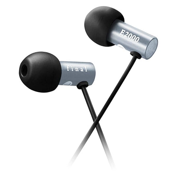 E2000 カナル型イヤホン マットシルバー FI-E2DALS