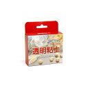 亀島商店 透明粘土 高い透明度と耐水性 50g KAM82-830