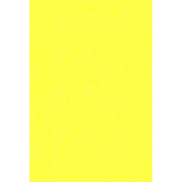 ѻ ֥顼 Ȭ  100 28058100
