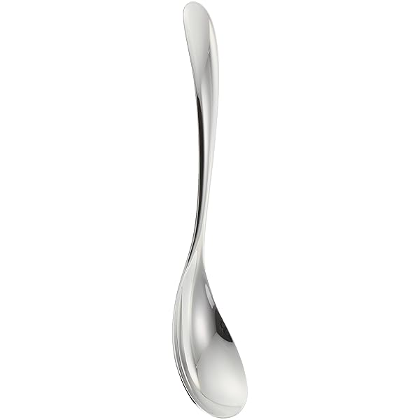 スプーン ステンレス 全長18.1cm ホームフェスタ ディナースプーン カレースプーン 日本製 3本入