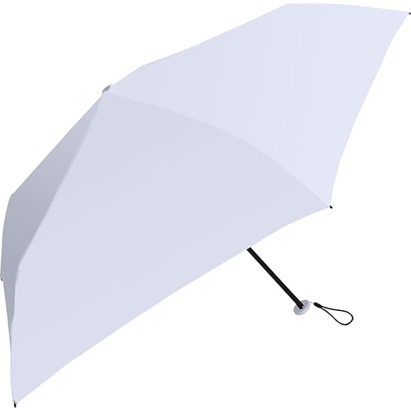 中谷 AMANE 婦人折傘 Air＋ サックス 【834-006】 手開き 親骨サイズ：50cm