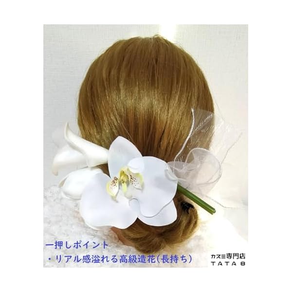 �ڹ� �礭��ȱ���� 4�����åȡ����ͼ����뺧����´�ȼ����ӡ������ꡦ���޻��ø�ĳ����