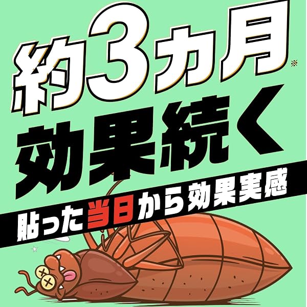 カメムシ駆除 貼るタイプ ブラック 6個入